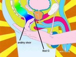 Mužský bod G a jeho stimulace přes konečník