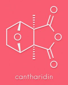 Kantaridin - molekula, vzorec