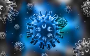 Herpes simplex virus - původce genitálního oparu, podrobnosti o viru